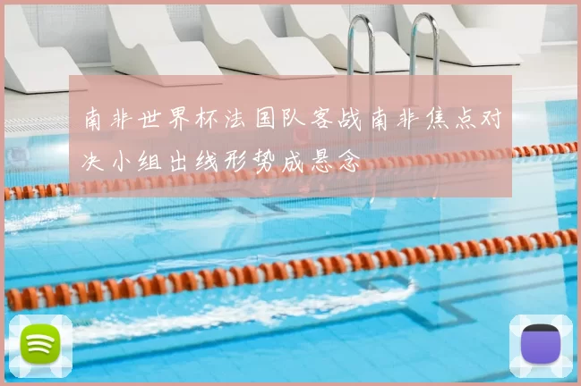 南非世界杯法国队客战南非焦点对决小组出线形势成悬念