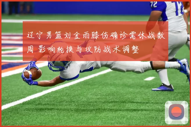 辽宁男篮刘金雨膝伤确诊需休战数周 影响轮换与攻防战术调整