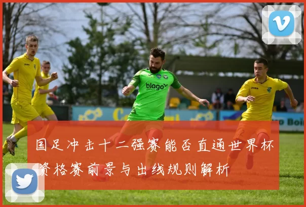 国足冲击十二强赛能否直通世界杯 资格赛前景与出线规则解析