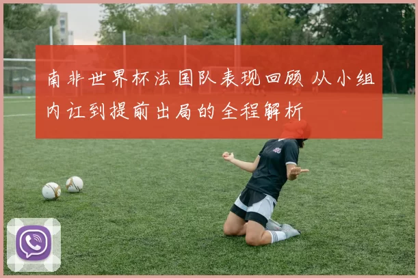 南非世界杯法国队表现回顾 从小组内讧到提前出局的全程解析