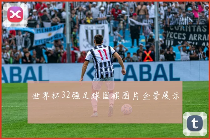 世界杯32强足球国旗图片全景展示