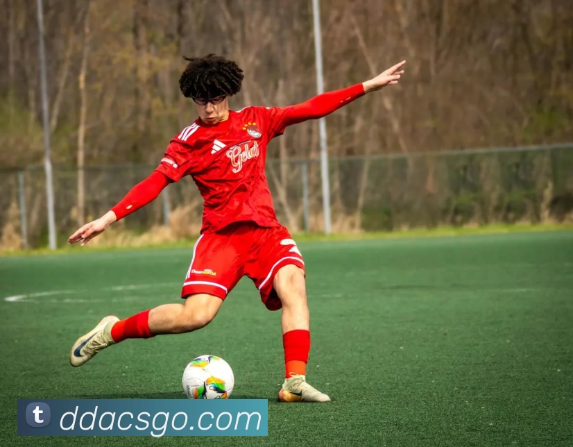 App Interface Preview