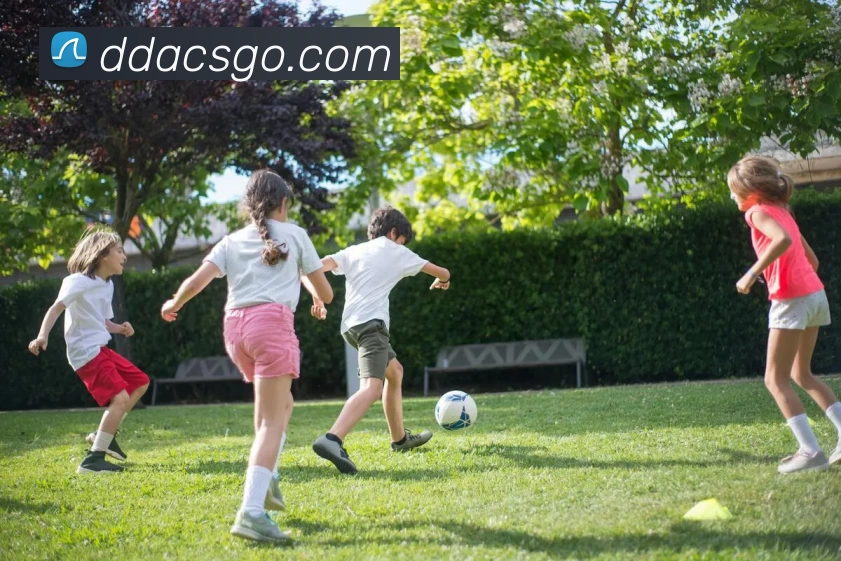 世界杯直播 - 世界杯直播在线观看免费 - 世界杯直播高清观看无插件 - 24直播网APP 封面图